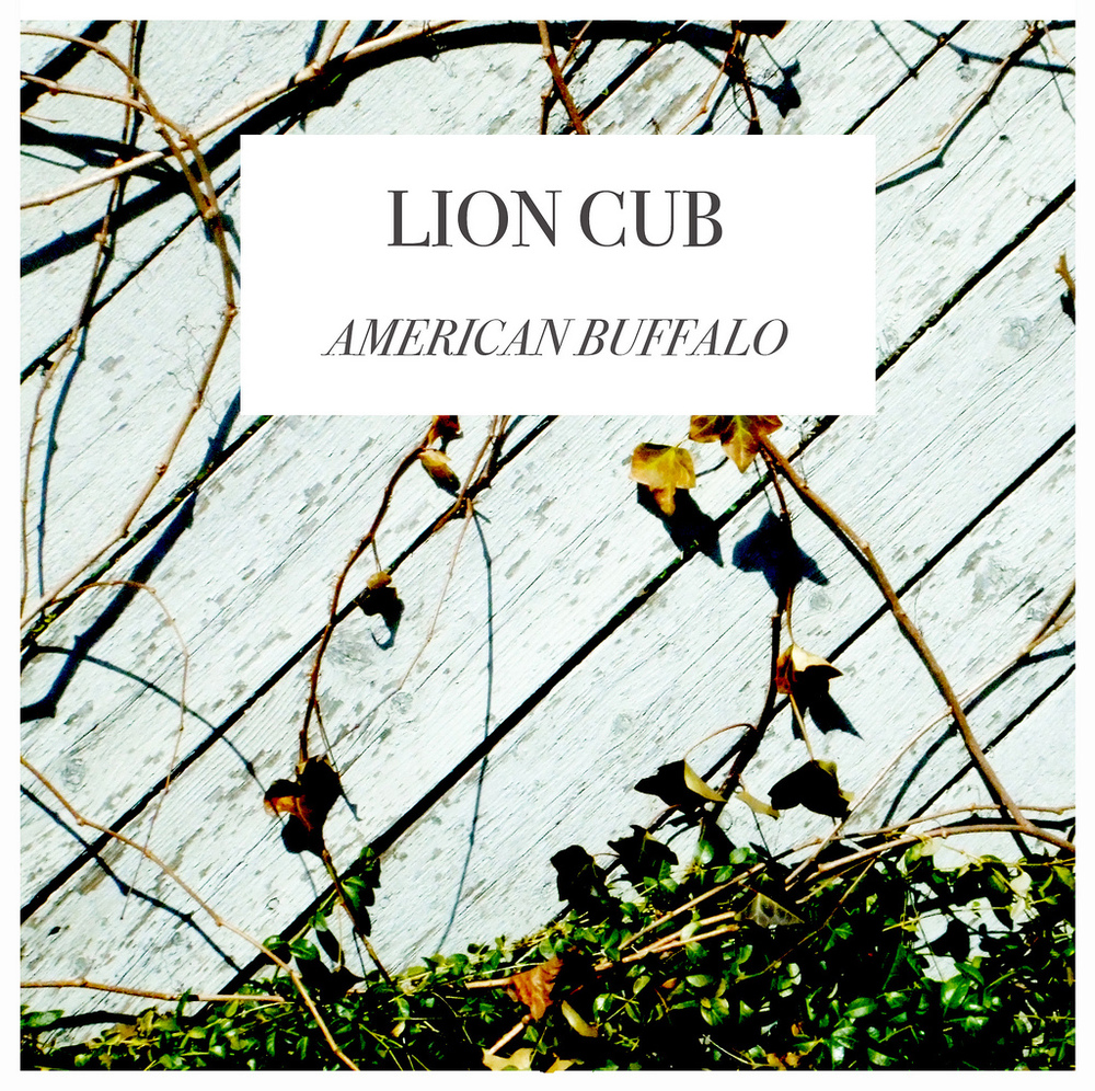 Product shots of Lion Cub - American Buffalo