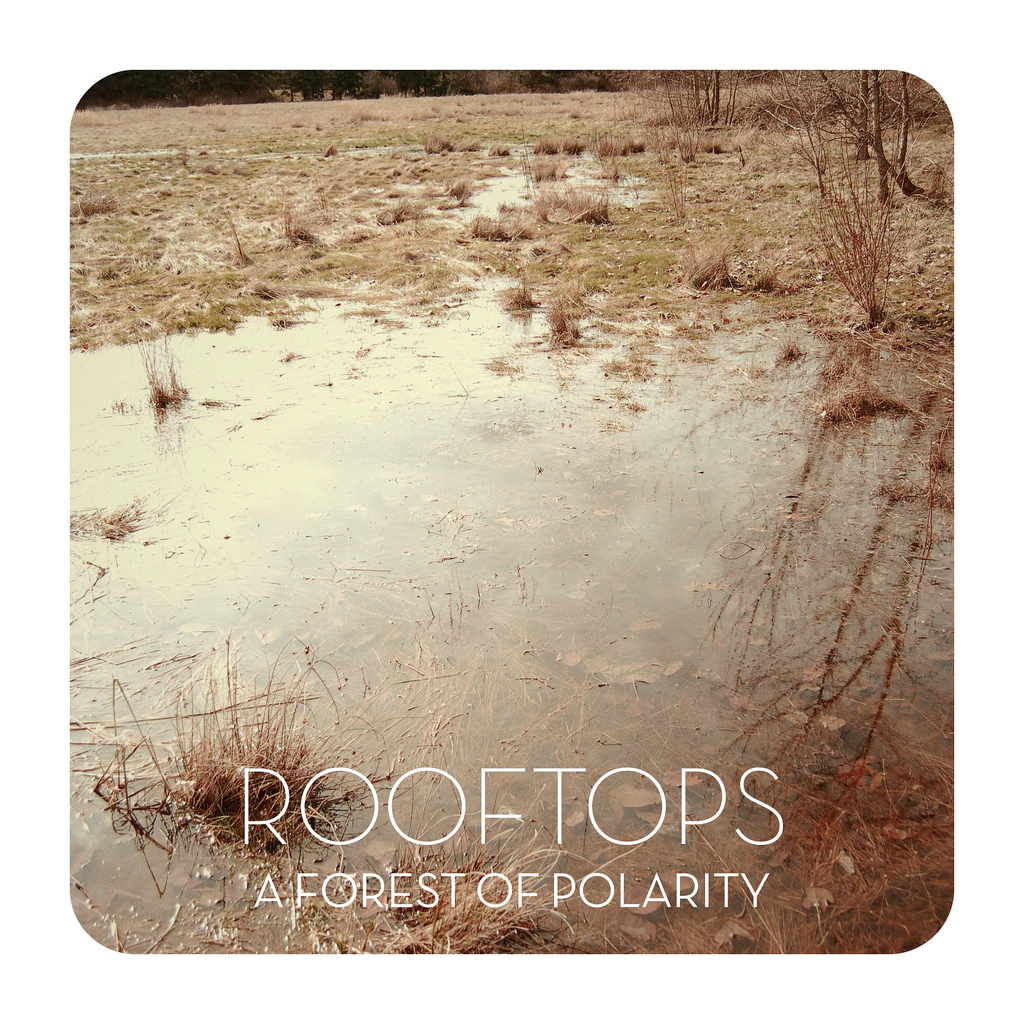 Product shots of Rooftops - A Forest of Polarity