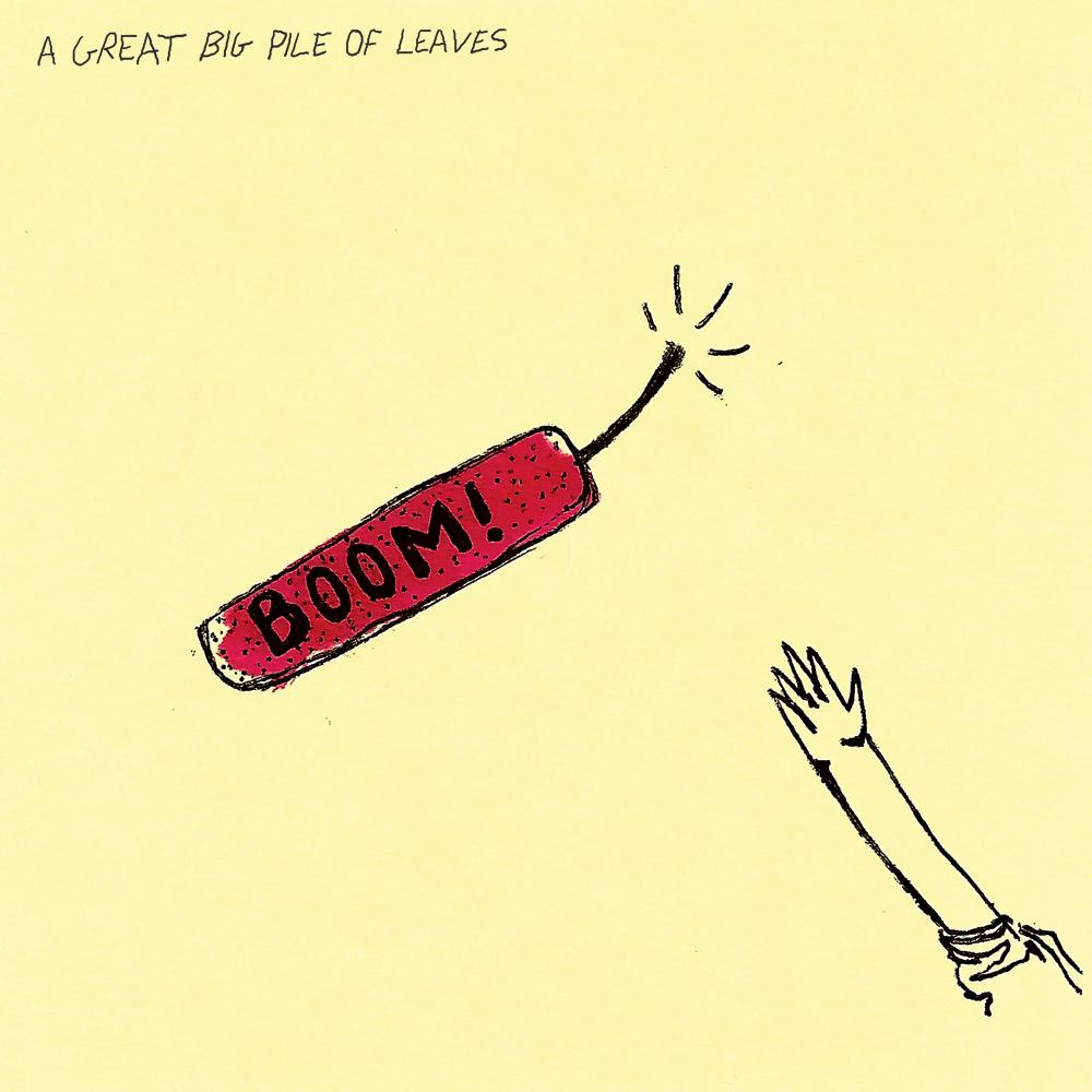 Product shots of A Great Big Pile of Leaves - Boom!