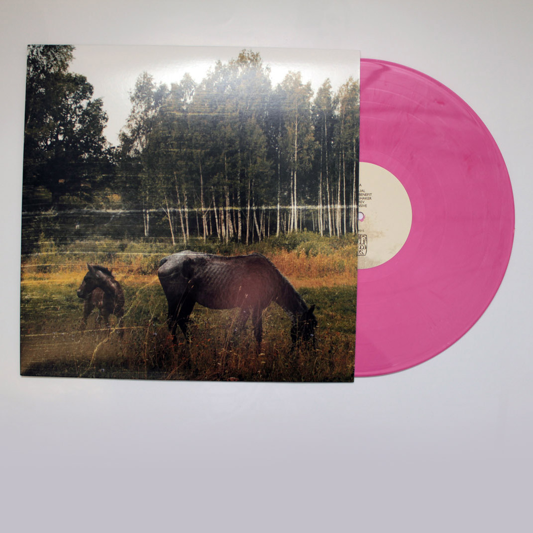Product shots of Pianos Become the Teeth - Old Pride