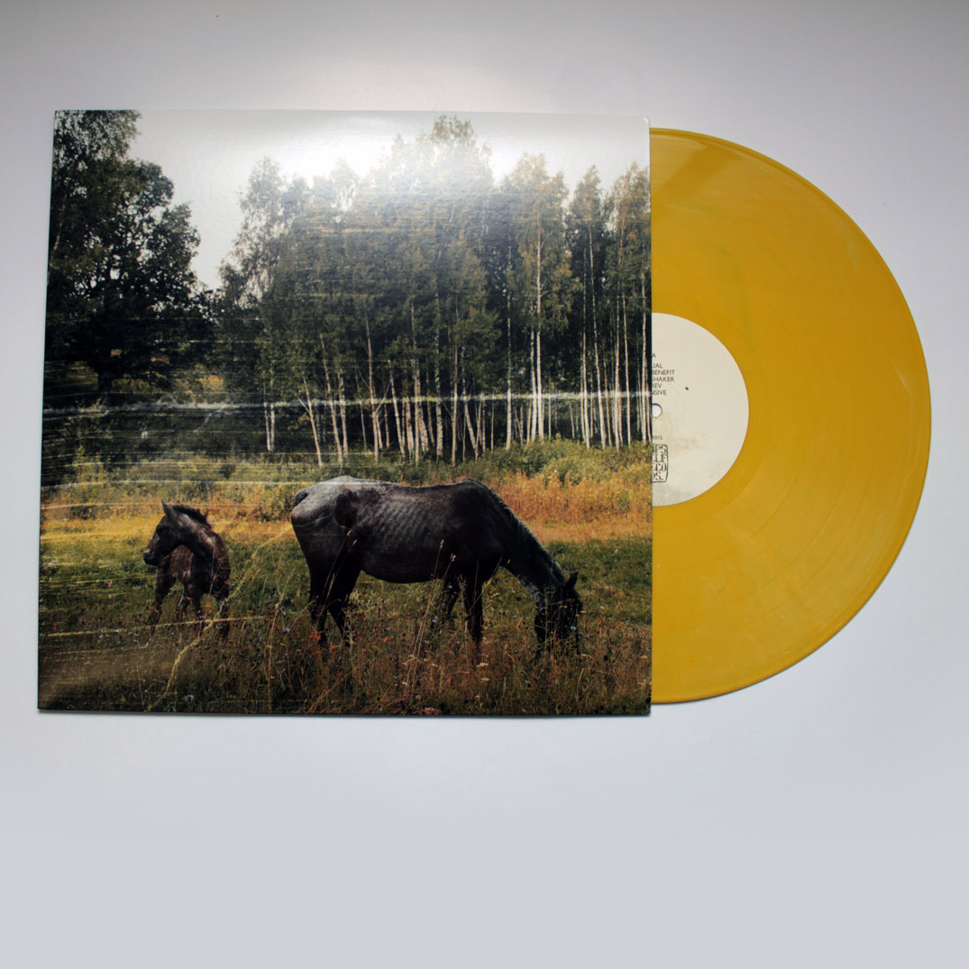 Product shots of Pianos Become the Teeth - Old Pride