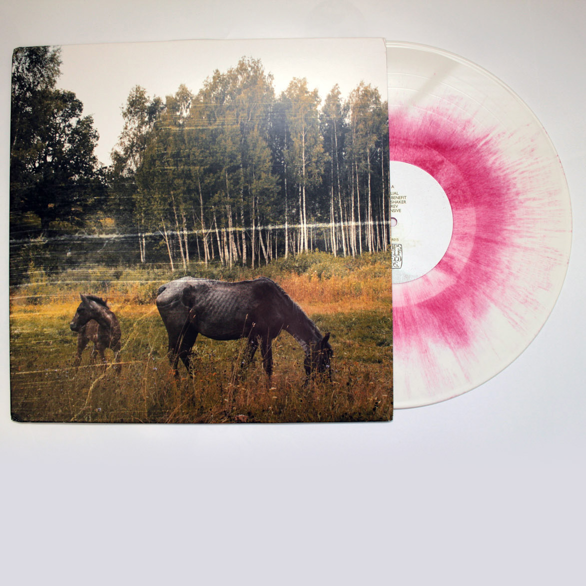 Product shots of Pianos Become the Teeth - Old Pride