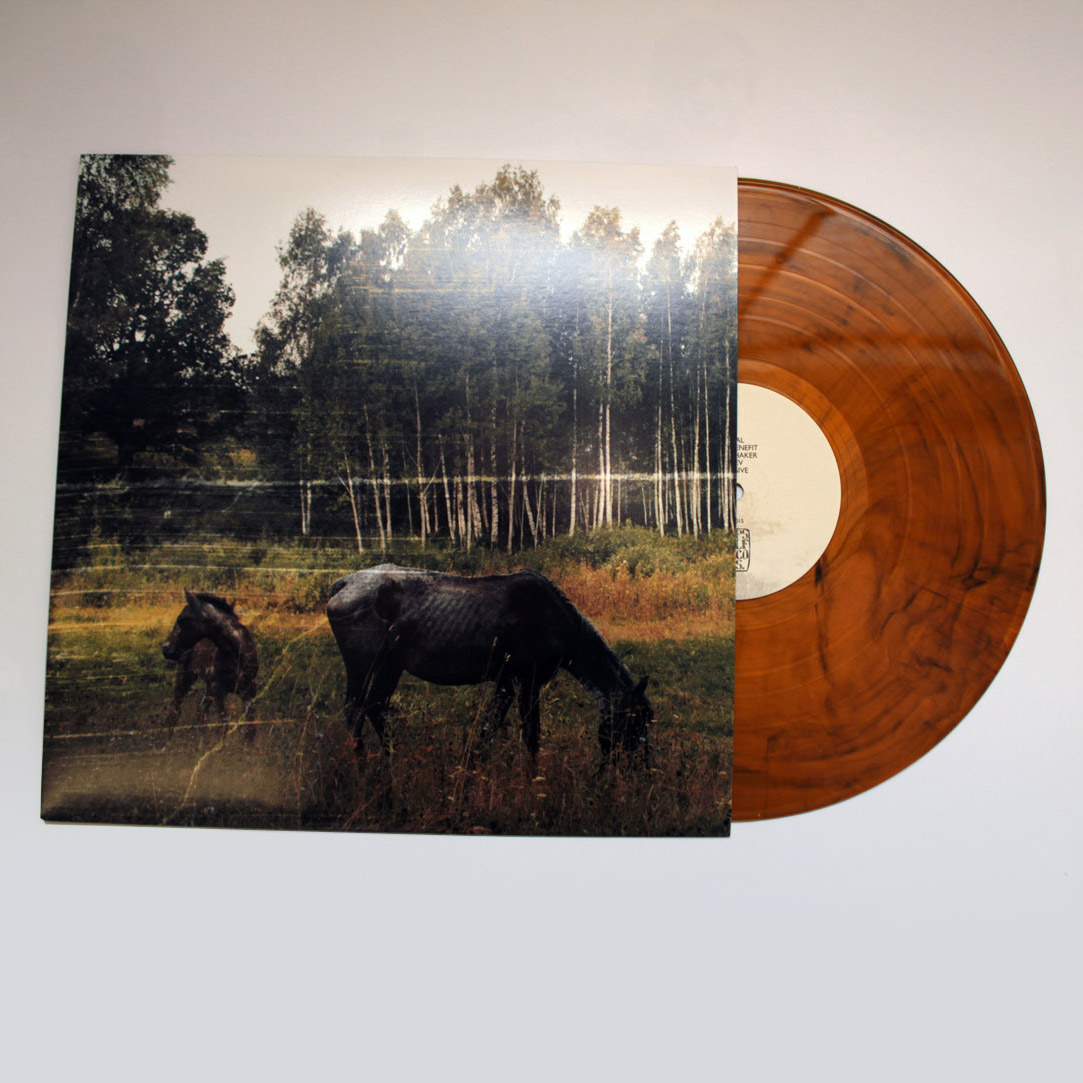 Product shots of Pianos Become the Teeth - Old Pride