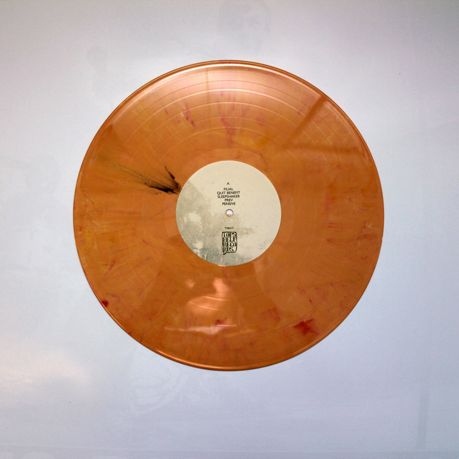 Product shots of Pianos Become the Teeth - Old Pride