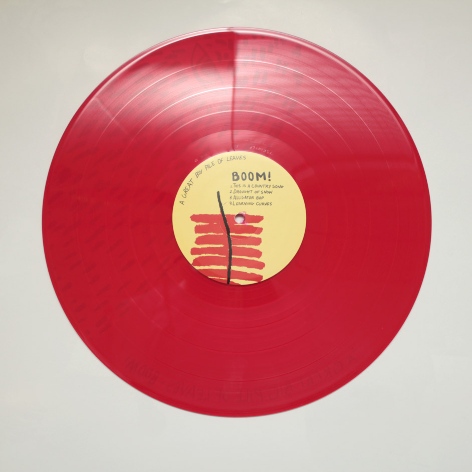 Product shots of A Great Big Pile of Leaves - Boom!