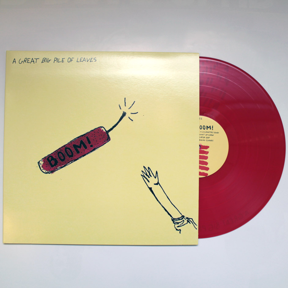 Product shots of A Great Big Pile of Leaves - Boom!