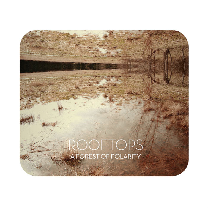 Product shots of Rooftops - A Forest of Polarity