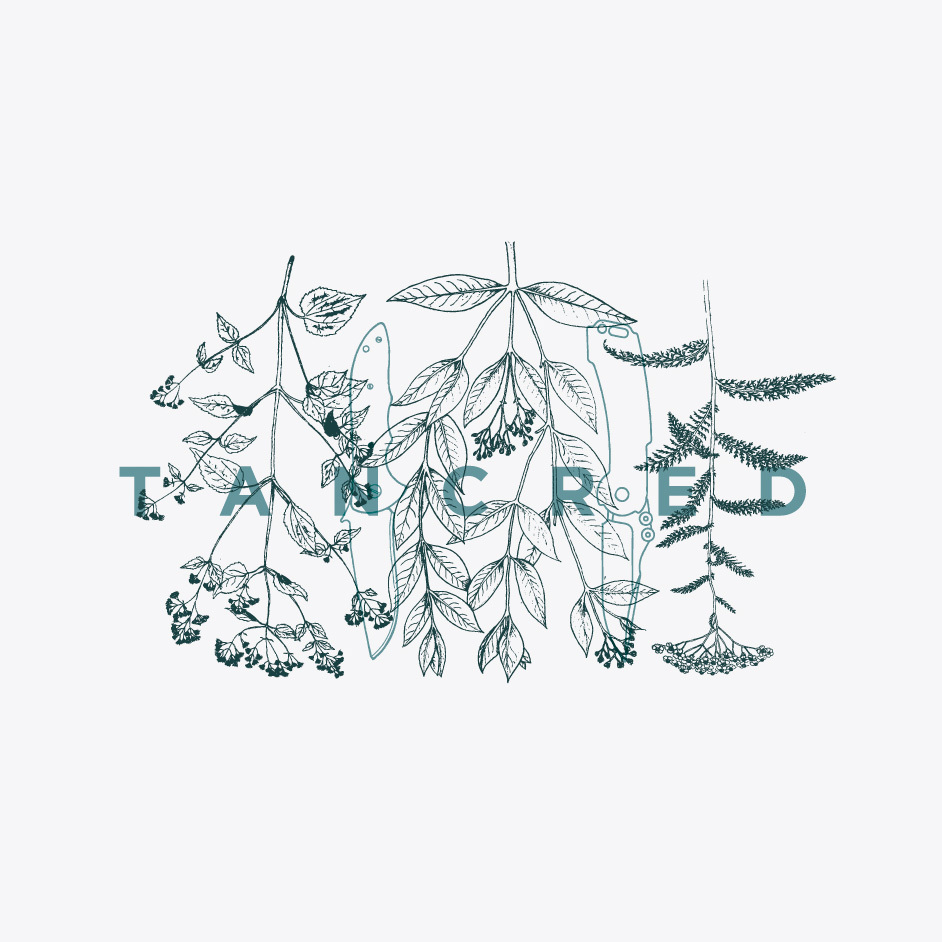 Product shots of Tancred - T-Shirt