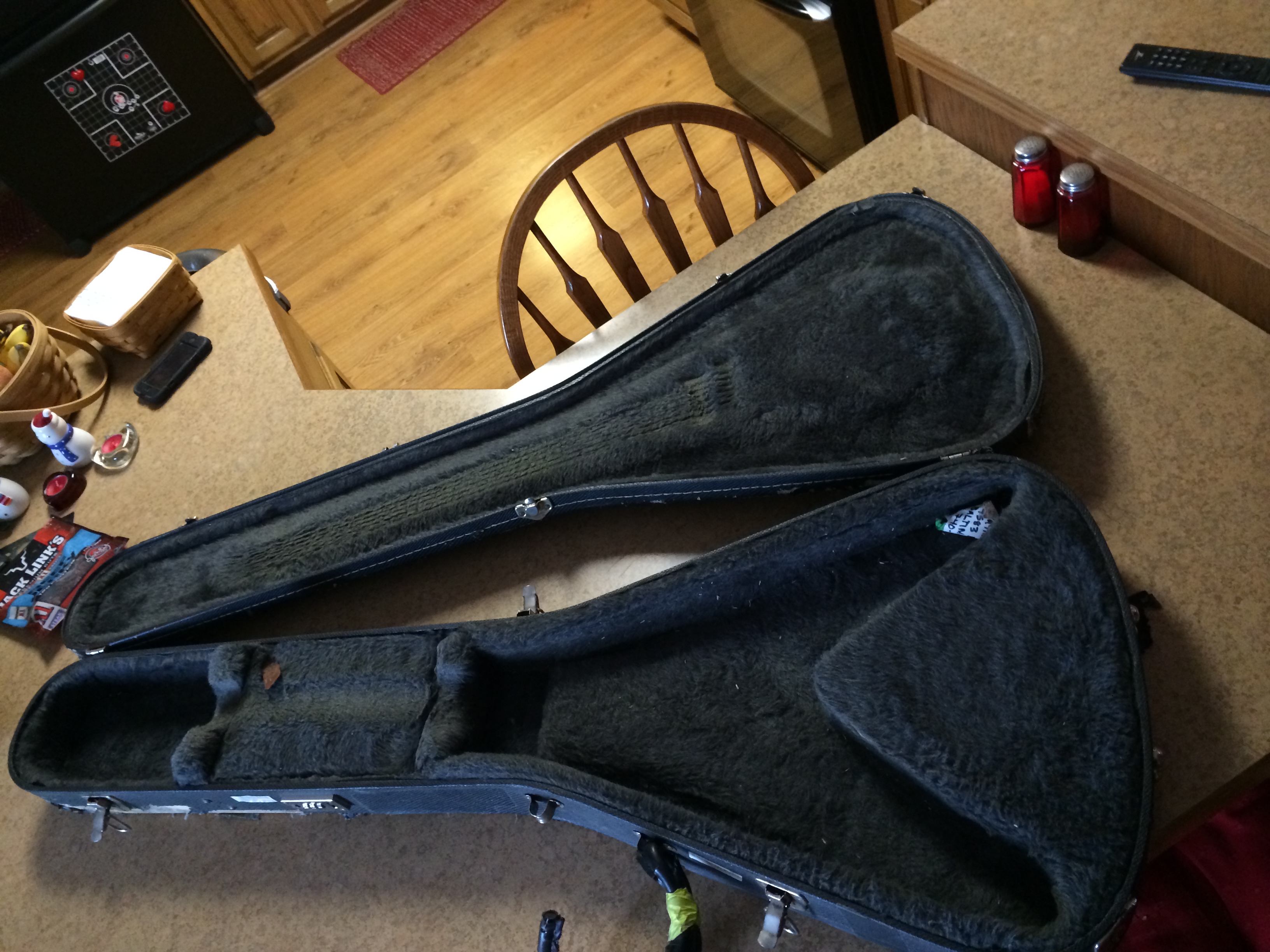 Skeletonwitch Official site Autographed Flying V Guitar Case