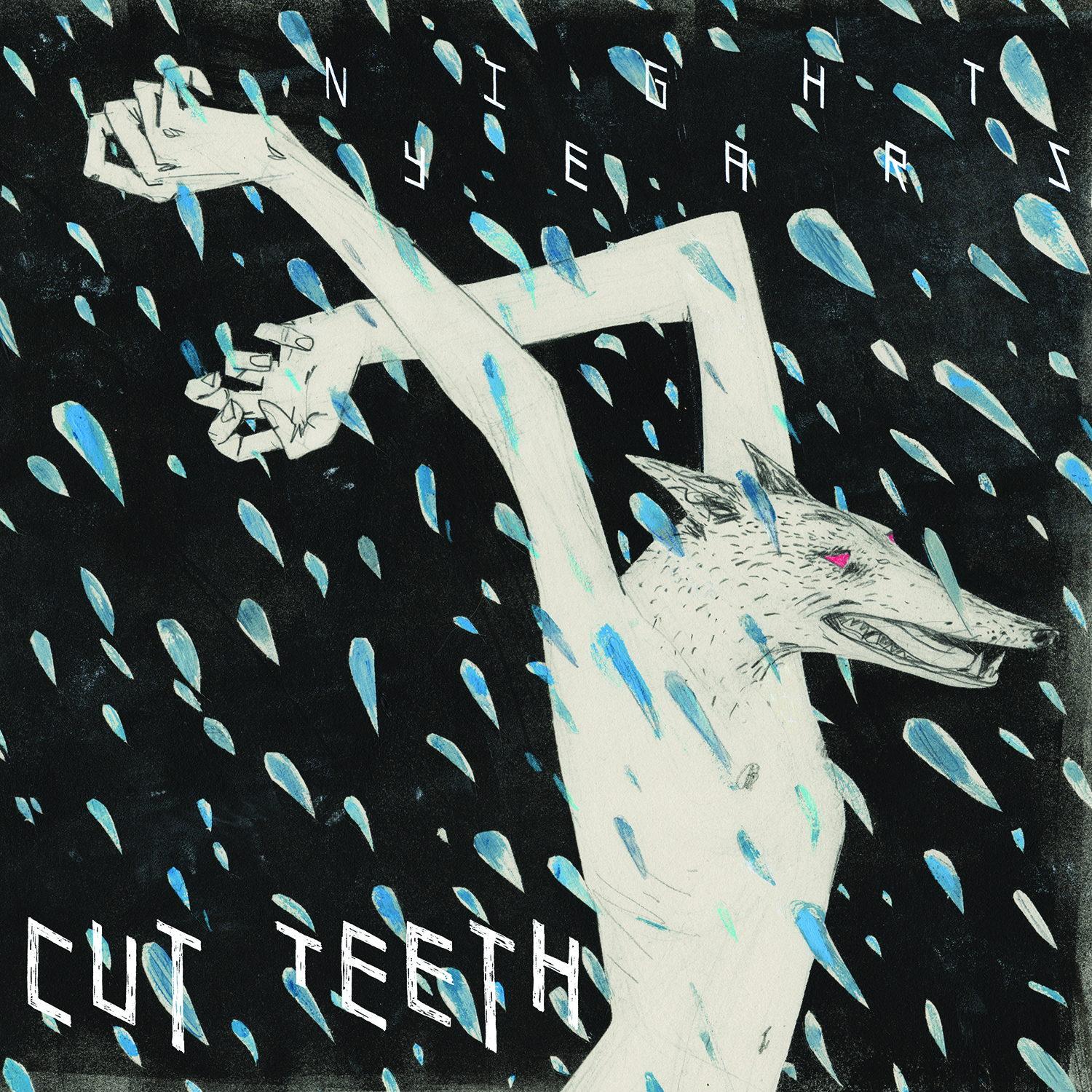 Product shots of Cut Teeth - Night Years