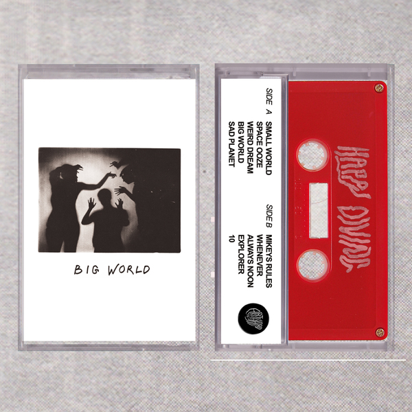 Happy Diving Big World Art is Hard Records