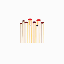 Dikolson - The Bear Is Sleeping Now LP/DL