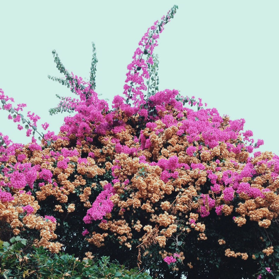 Product shots of Jay Som - Turn Into