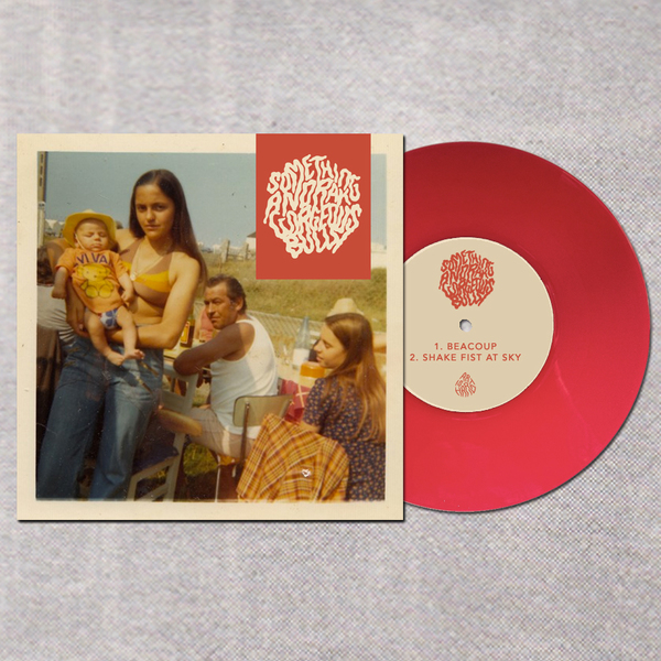 Bully / Something Anorak split 7" Art is Hard Records