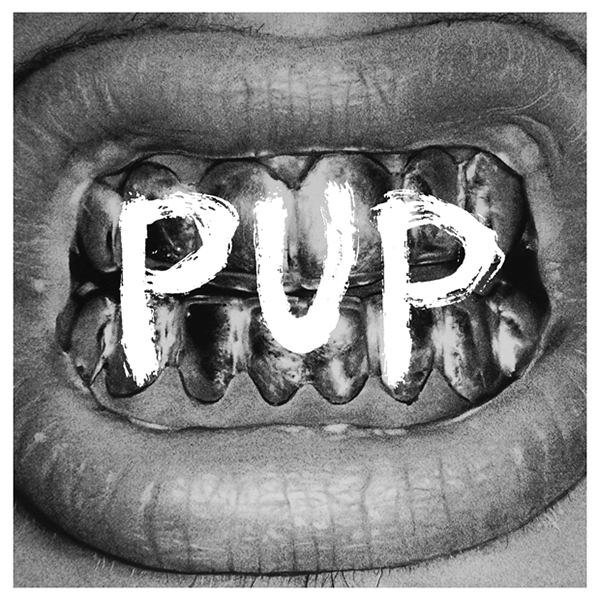 Image result for pup self titled