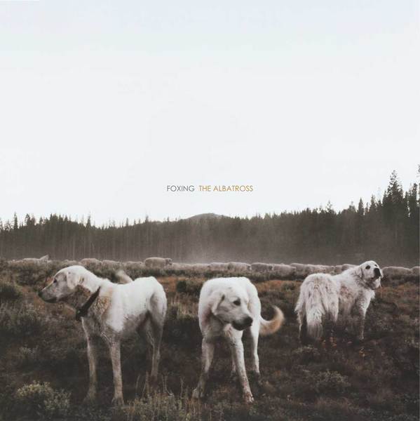 Home - Foxing