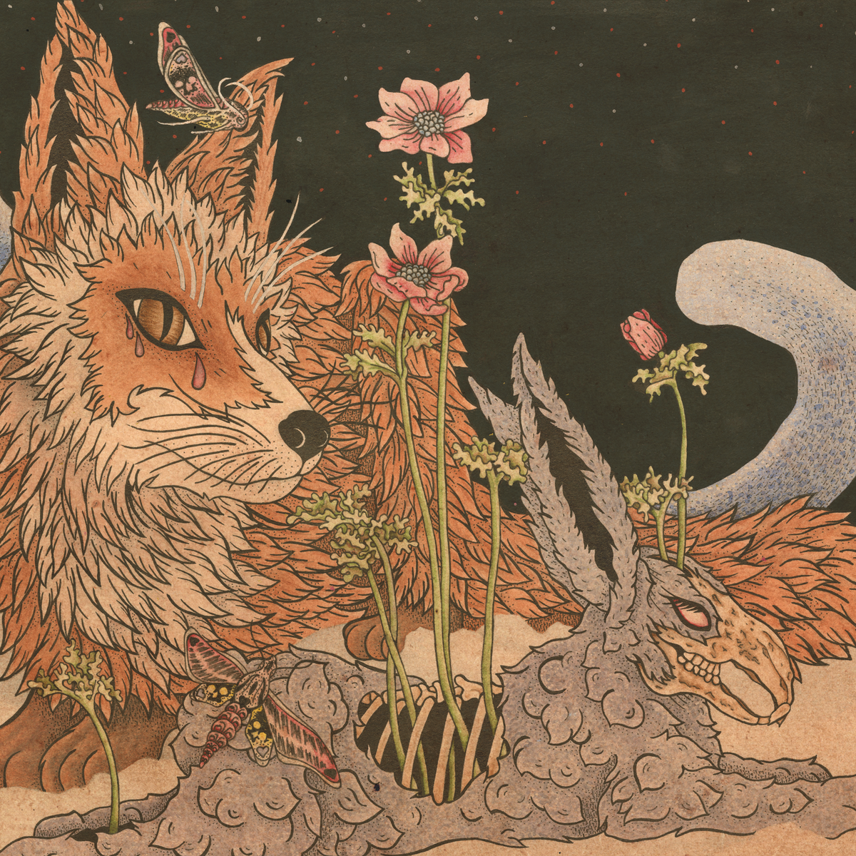 Product shots of Planes Mistaken For Stars - Prey