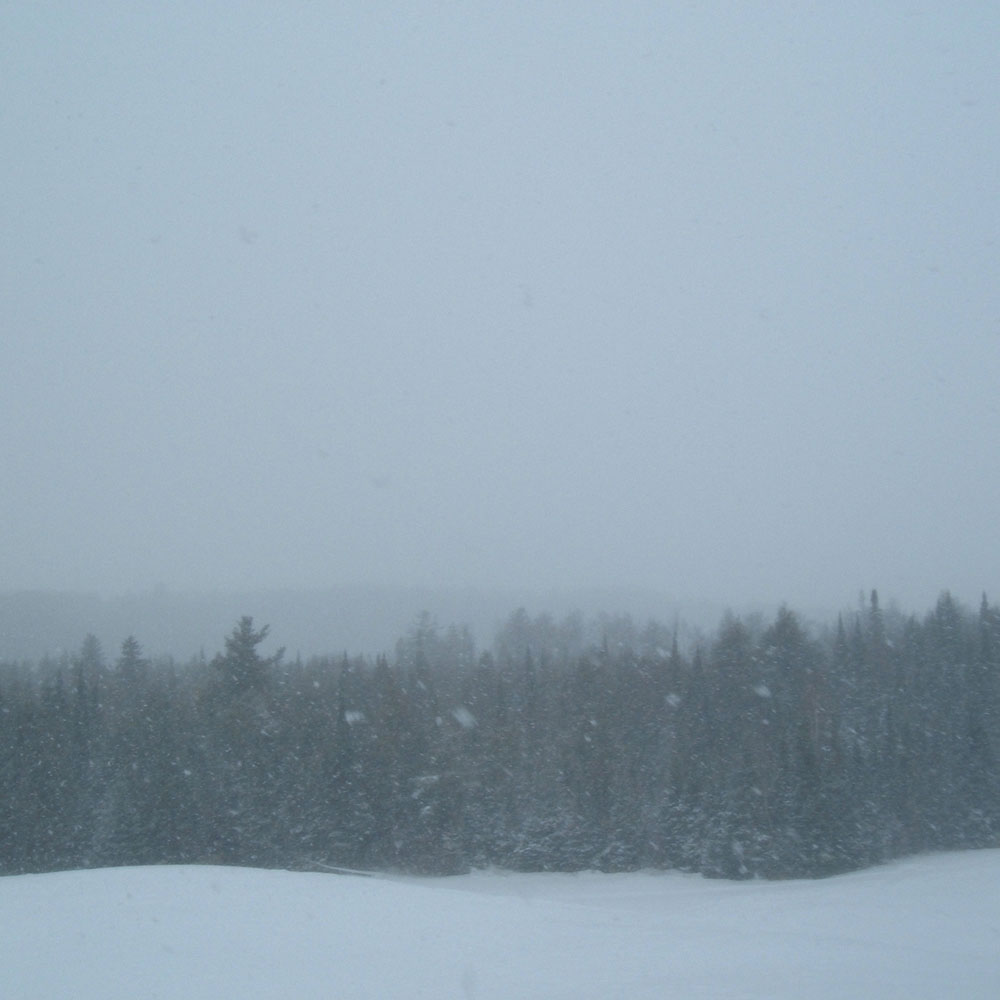 Product shots of Mother Evergreen - S/T