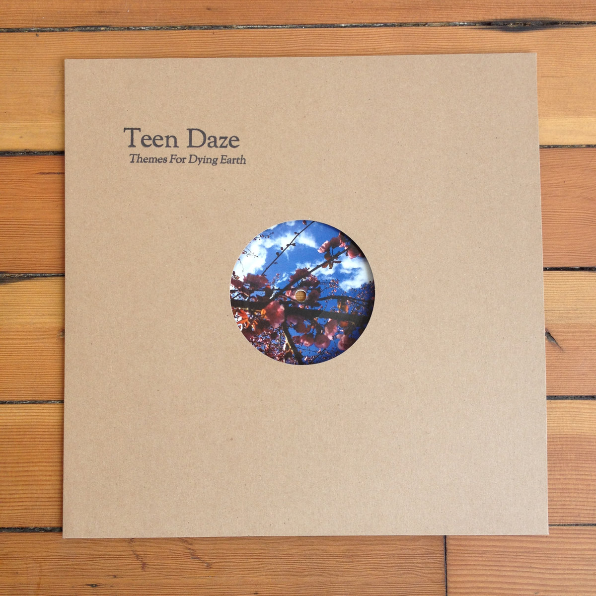 Product shots of Teen Daze - Themes For Dying Earth
