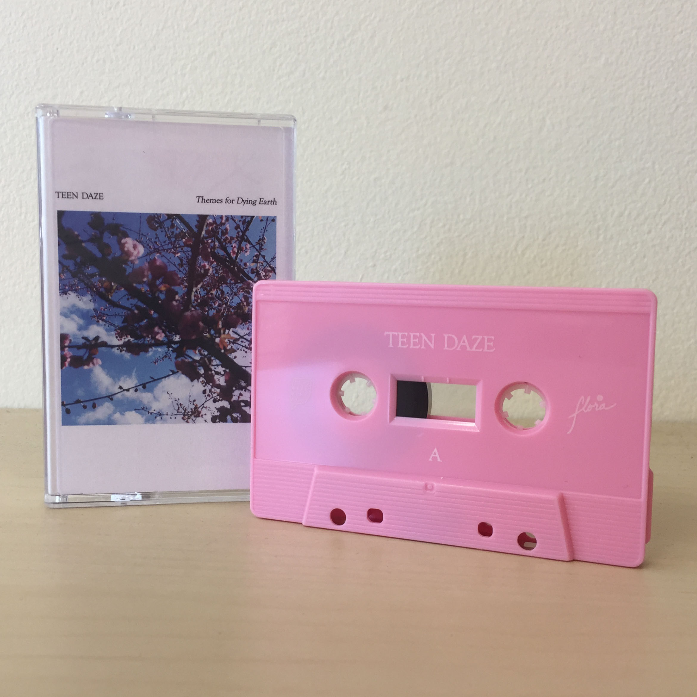 Product shots of Teen Daze - Themes For Dying Earth