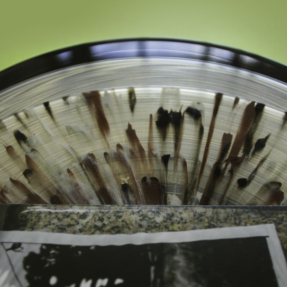 Product shots of Really From - Verse