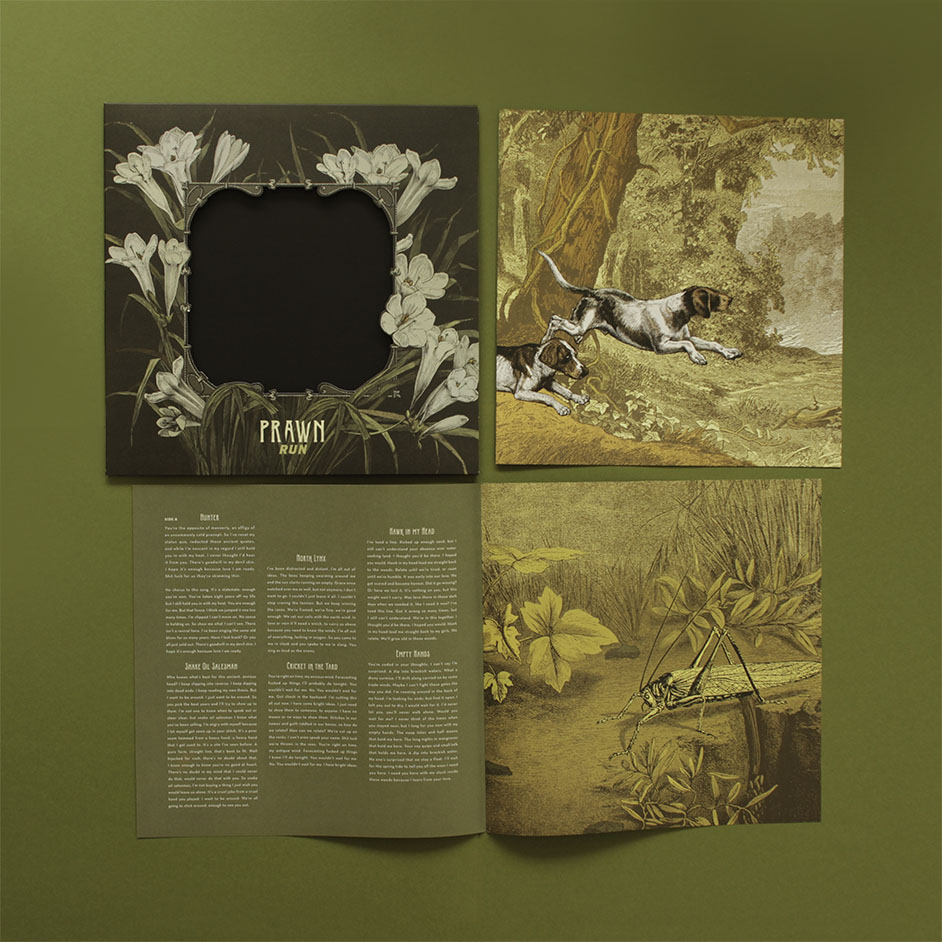 Product shots of Prawn - Run