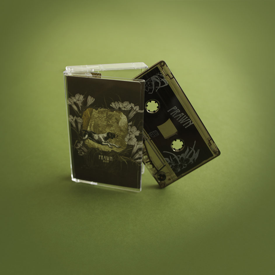 Product shots of Prawn - Run