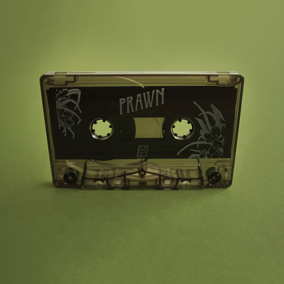 Product shots of Prawn - Run