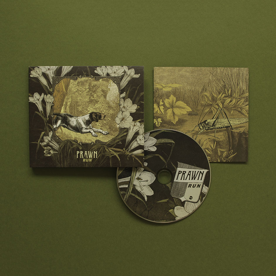 Product shots of Prawn - Run