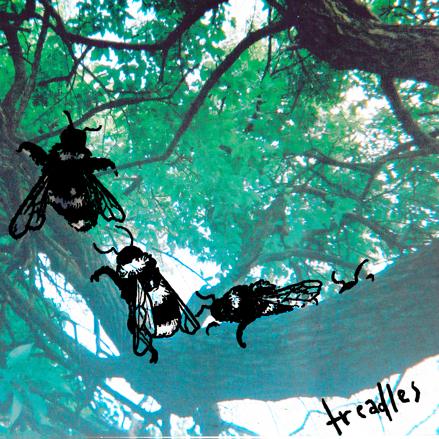 Product shots of Treadles  - Bees Are Thieves Too