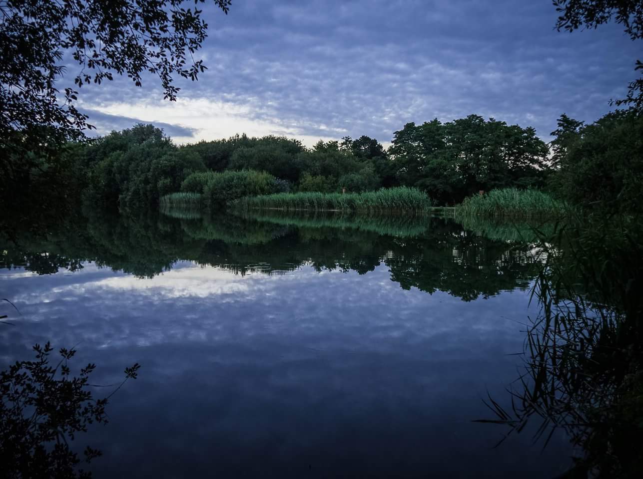 Landscape 1 - Reflections