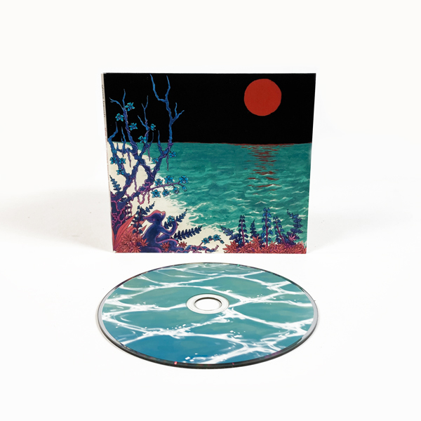 RUN FOR COVER RECORDS