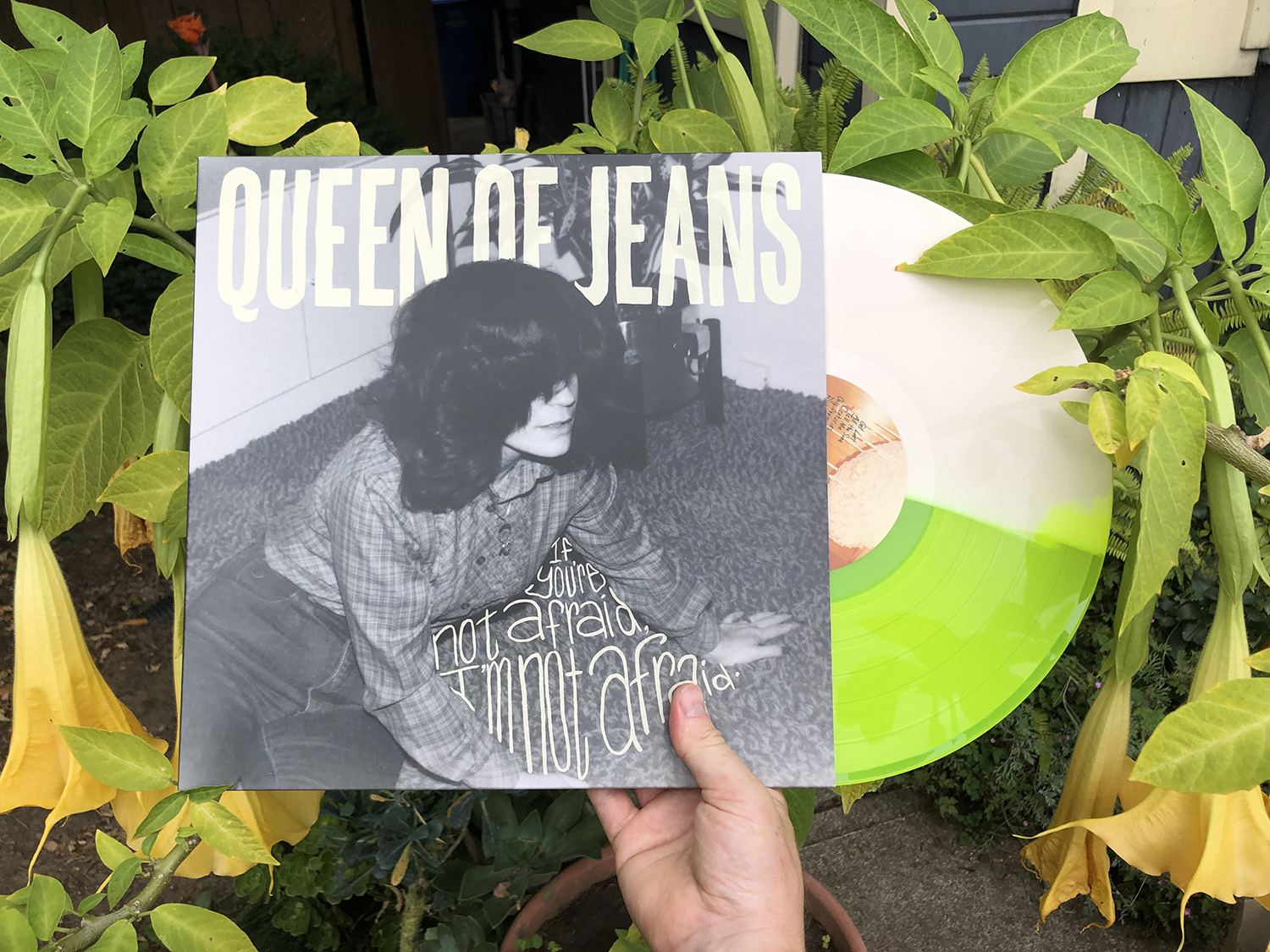 Product shots of Queen of Jeans - If you're not afraid, I'm not afraid