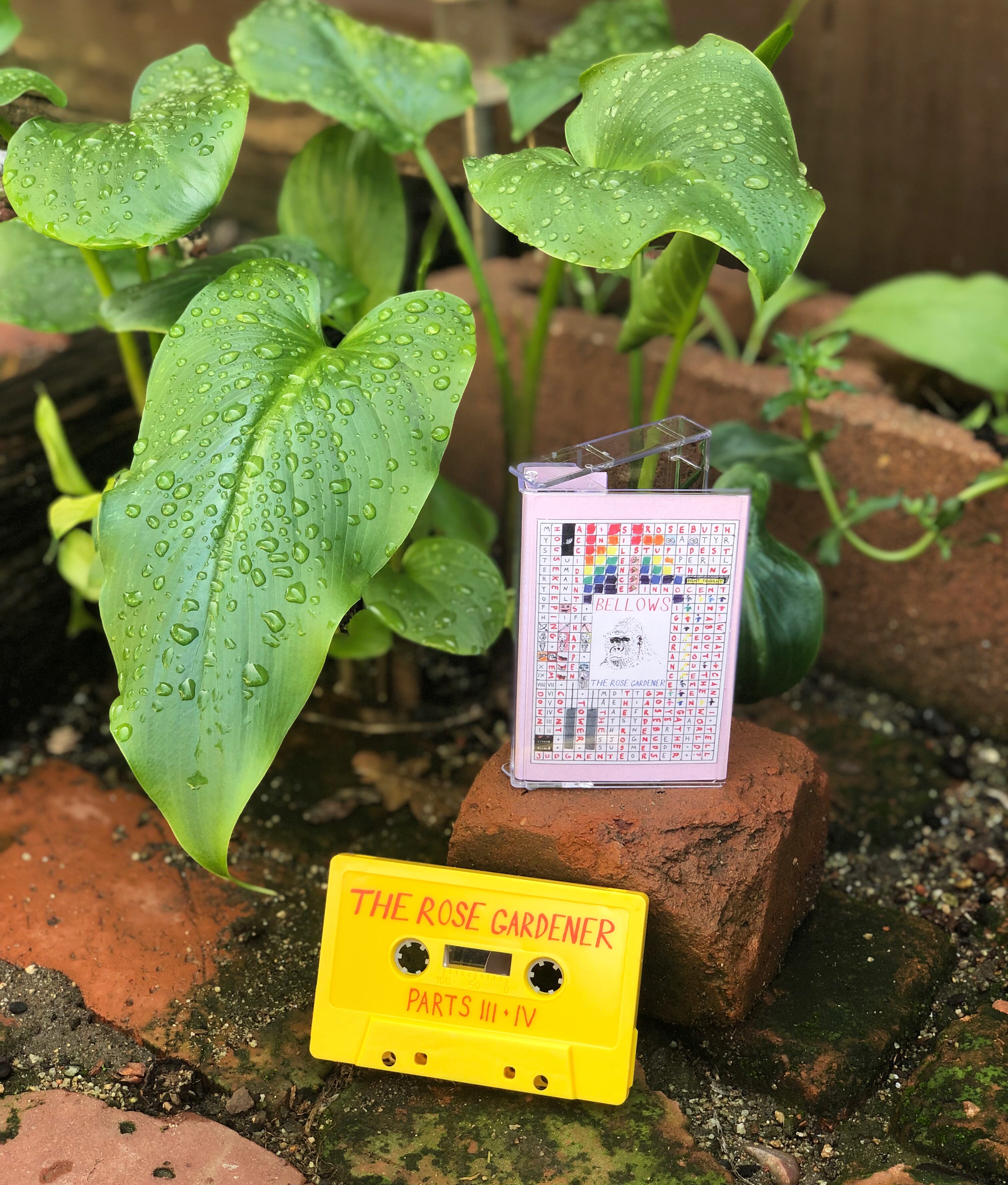 Product shots of Bellows - The Rose Gardener