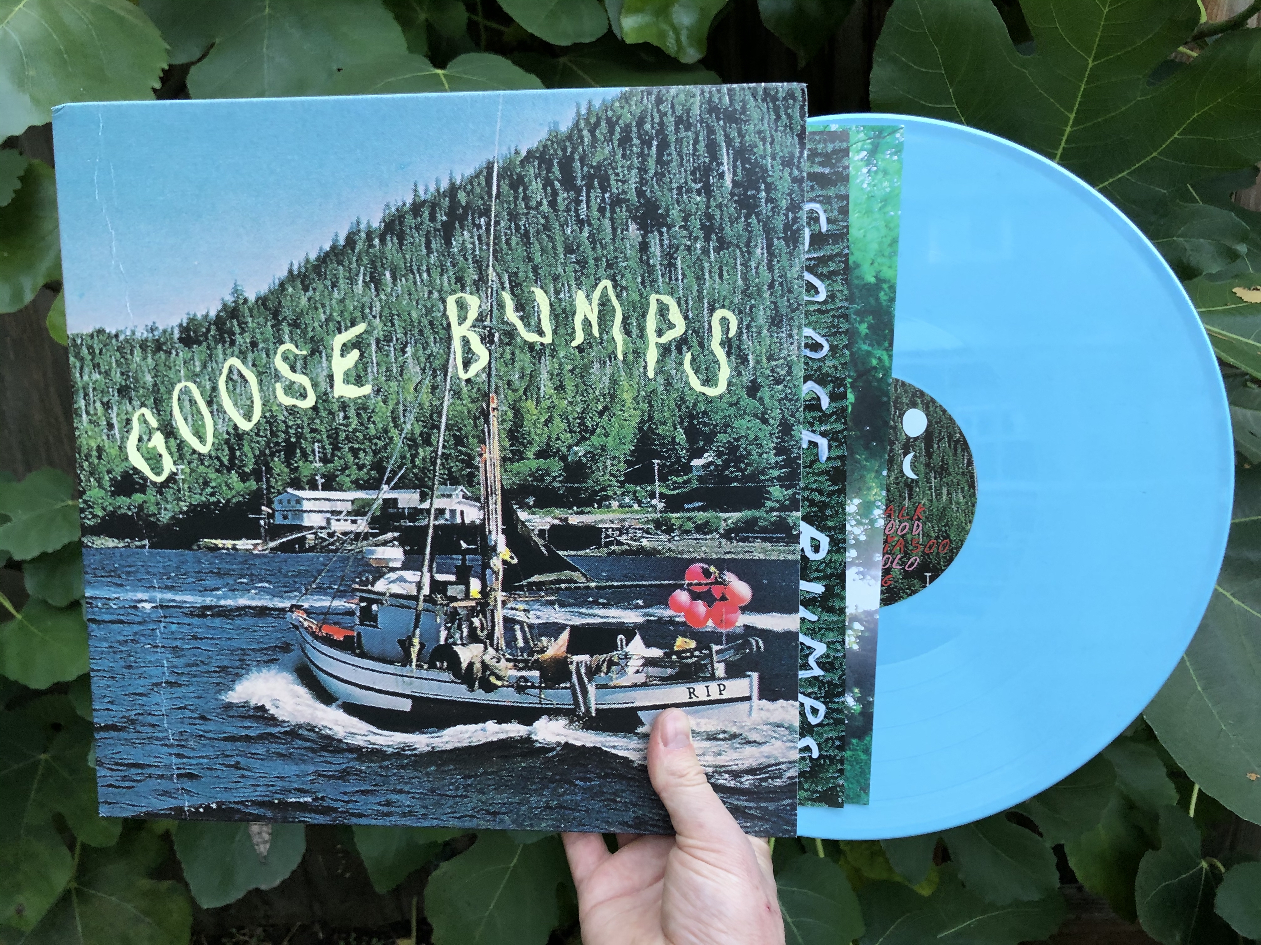 Product shots of Boyscott - Goose Bumps