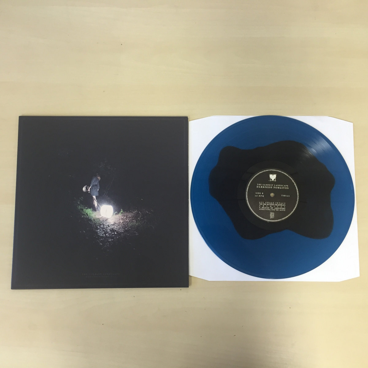 Product shots of The Saddest Landscape - Darkness Forgives