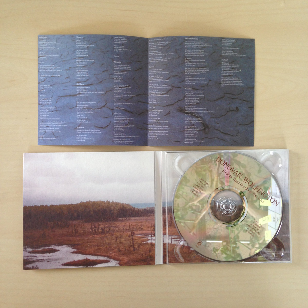 Product shots of Donovan Wolfington - How To Treat The Ones You Love