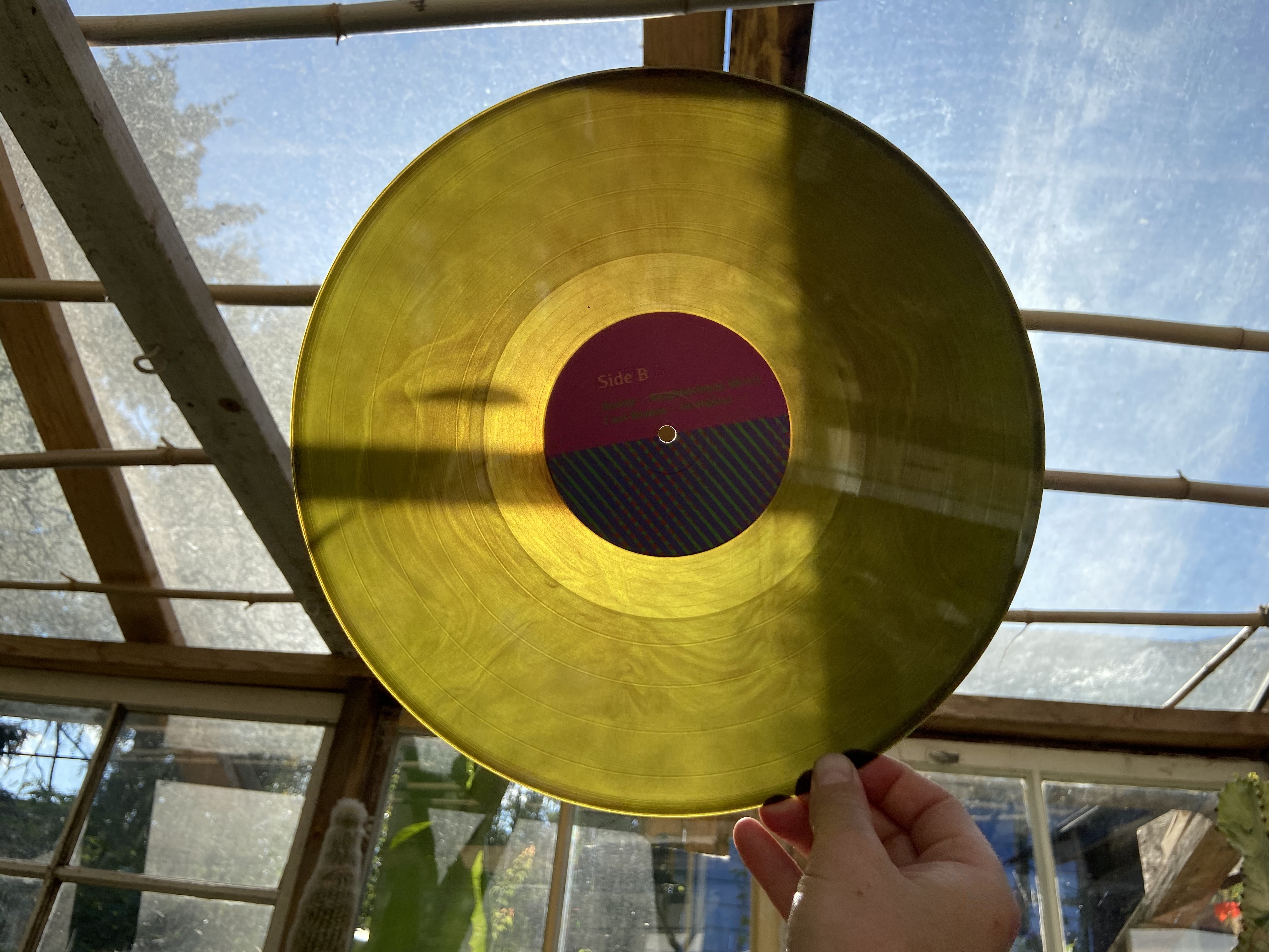 Product shots of Gregory Uhlmann - Neighborhood Watch