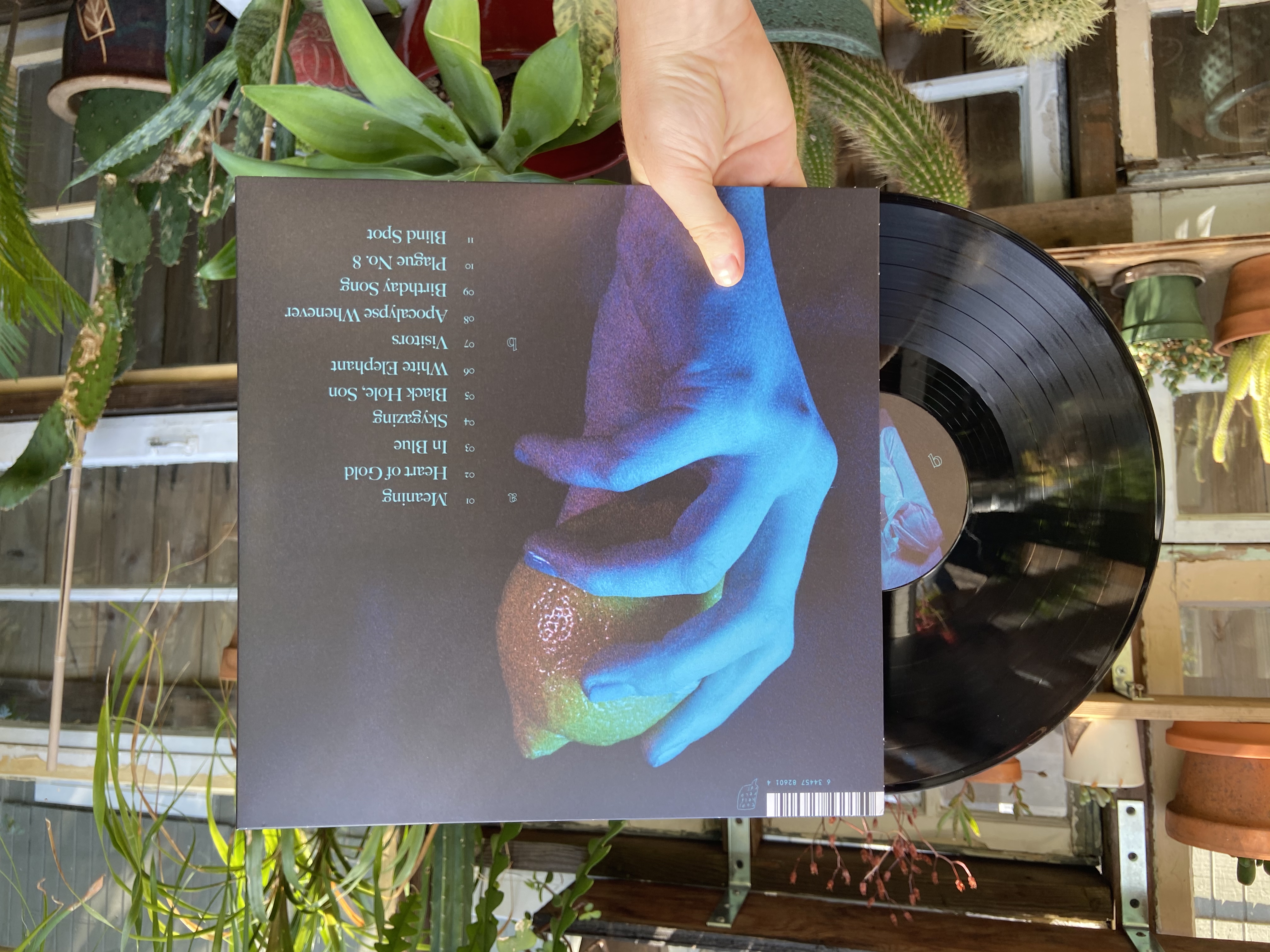 Product shots of Field Mouse - Meaning