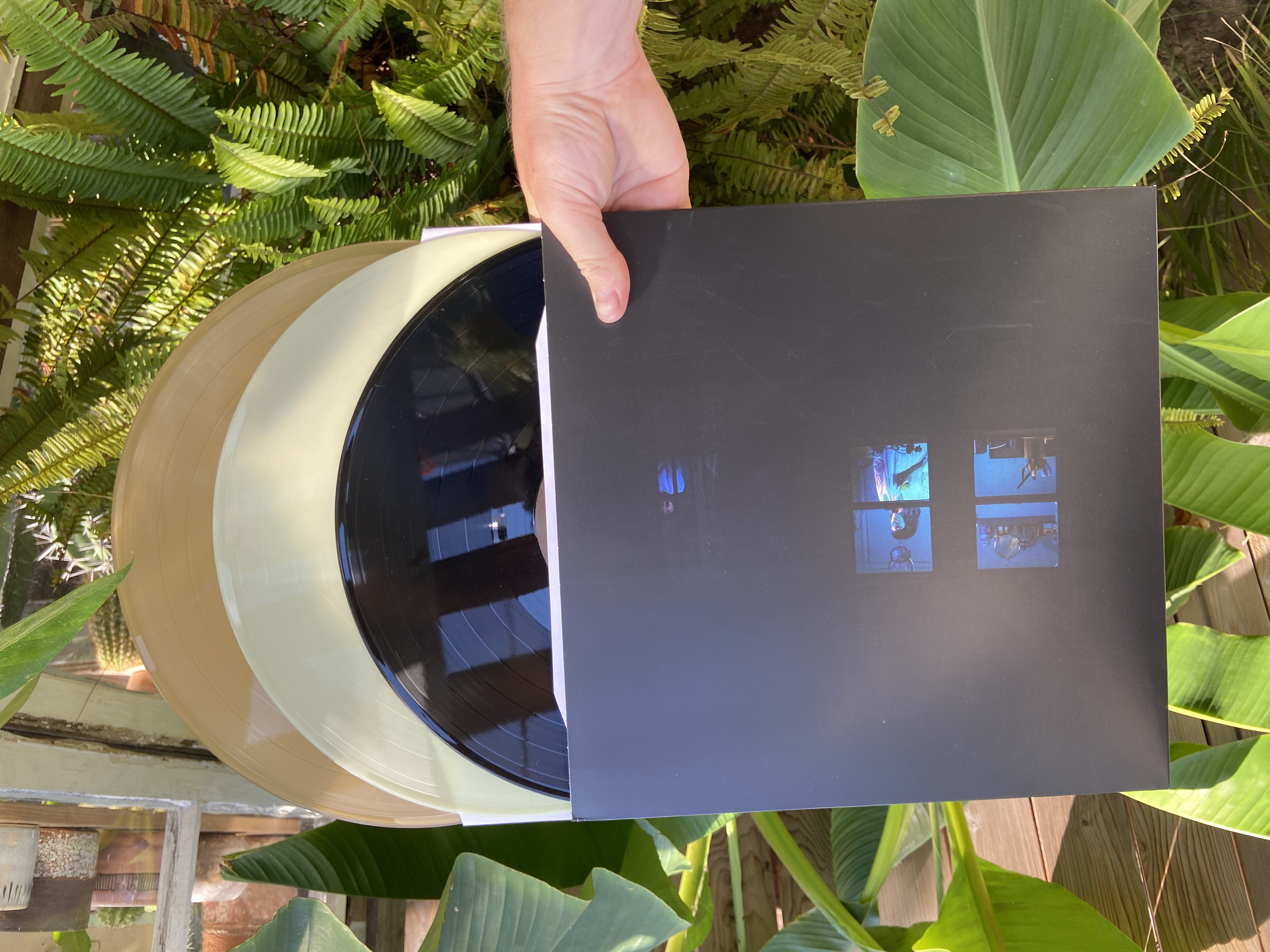 Product shots of Field Mouse - Meaning