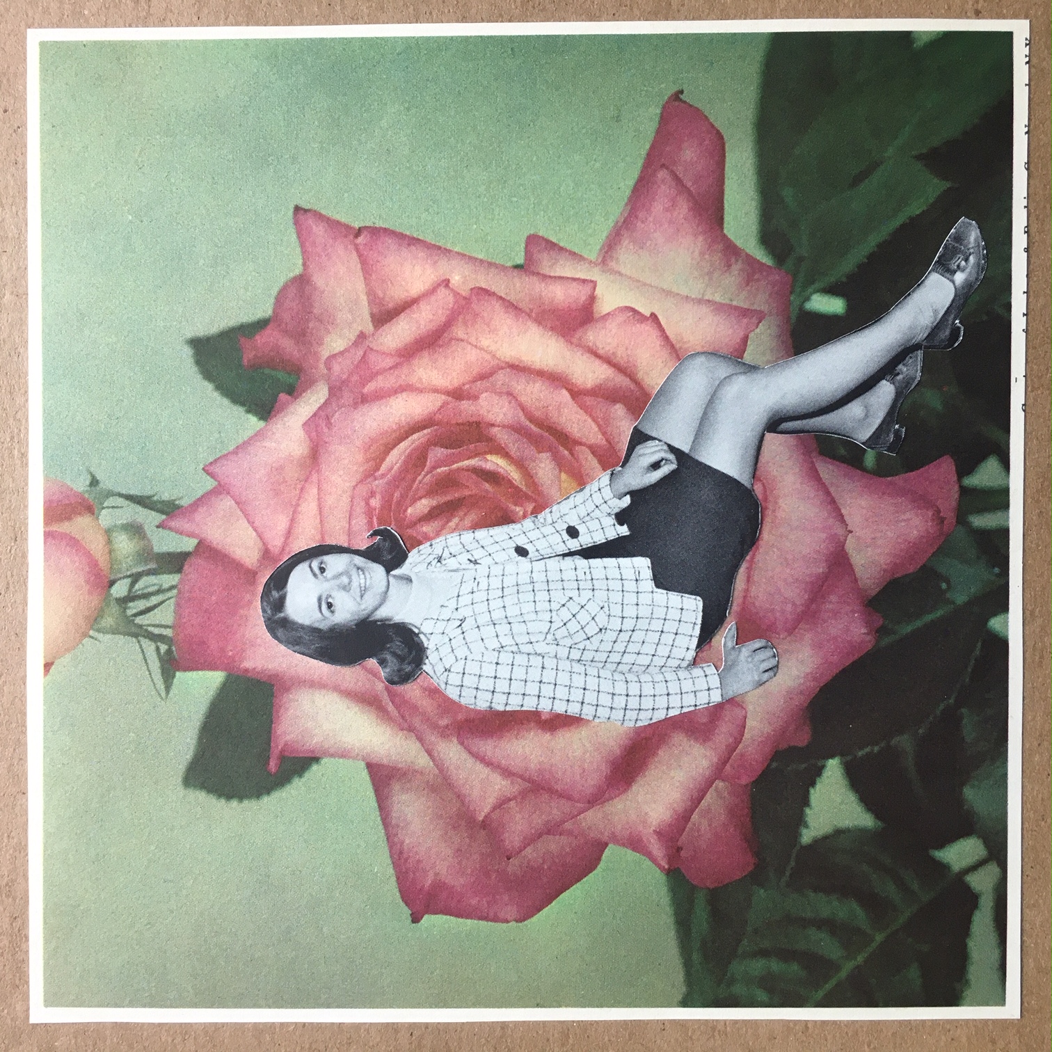 Product shots of Del Paxton - September, Bedtime, Ontario