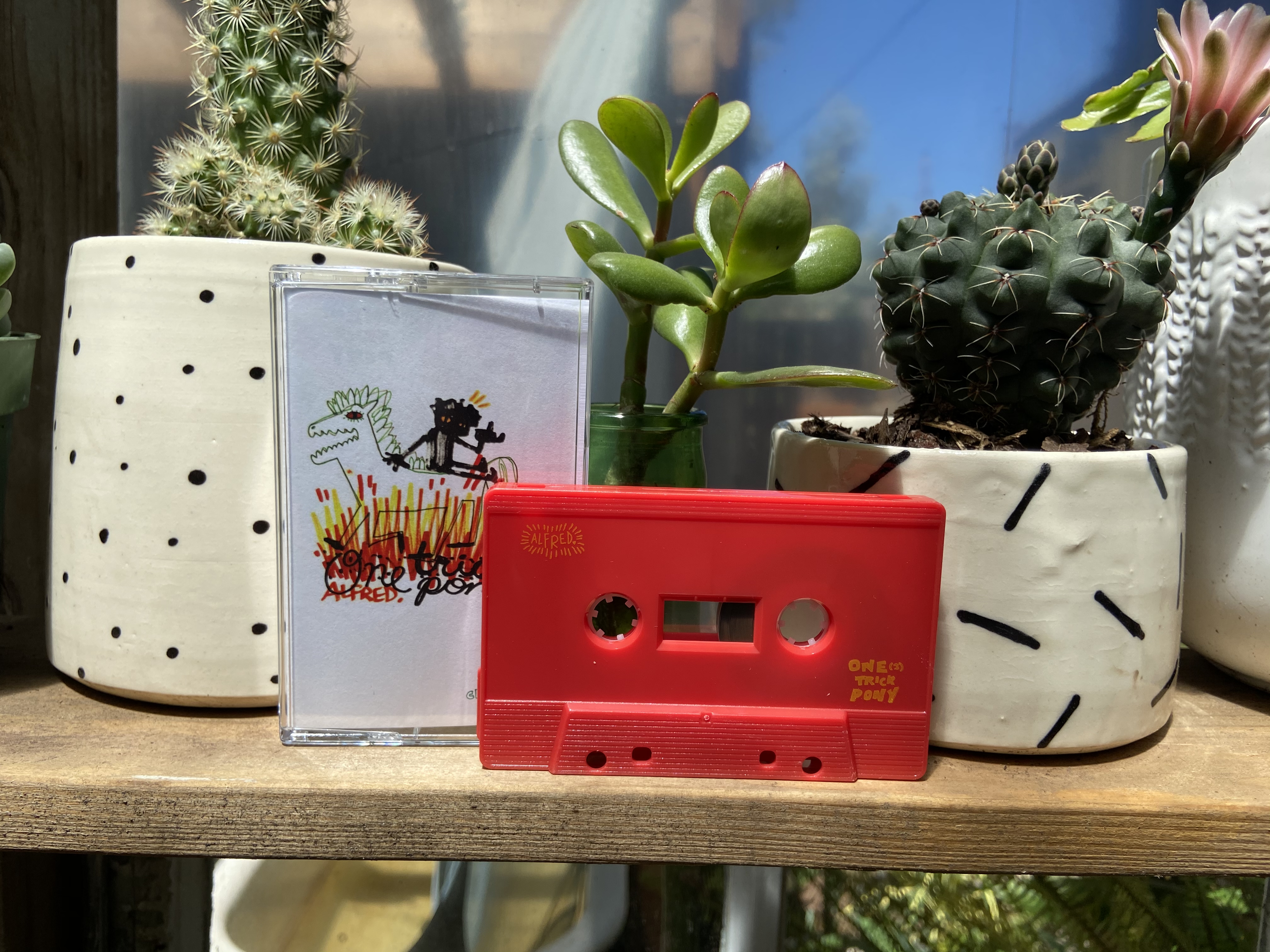 Product shots of Alfred. - One Trick Pony