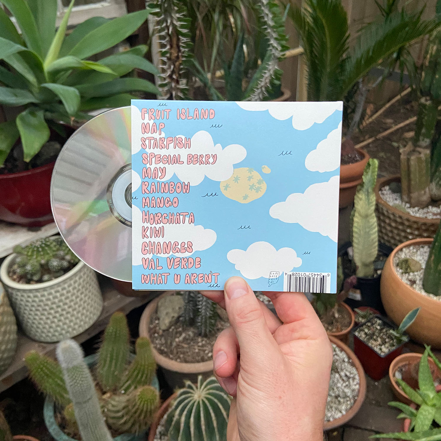 Product shots of standards - Fruit Island