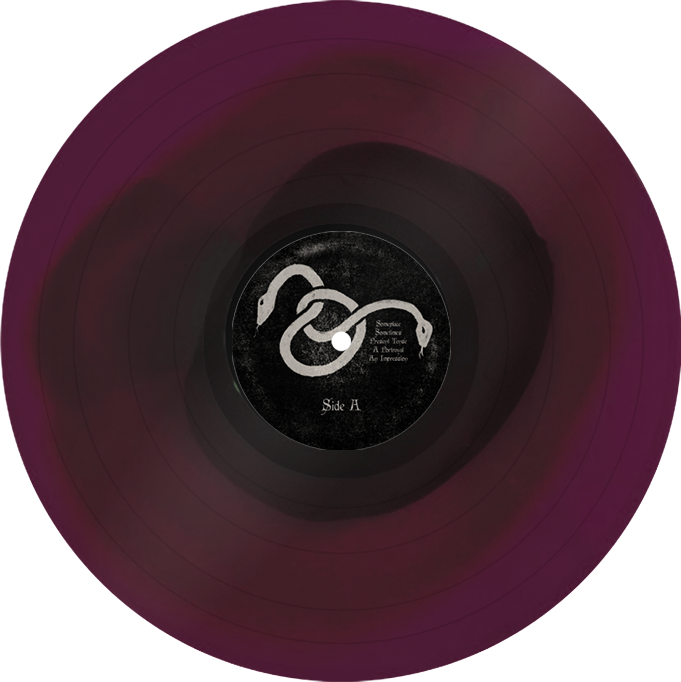 Topshelf Records Home