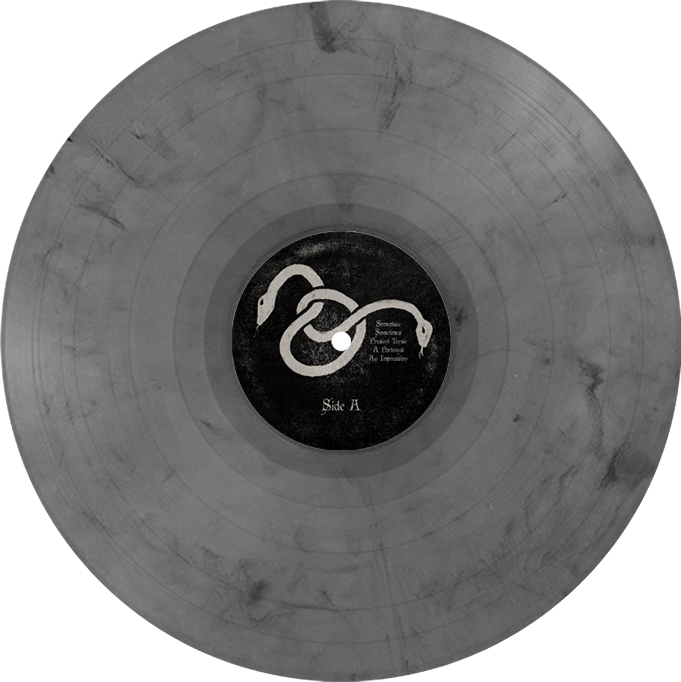 Topshelf Records Home