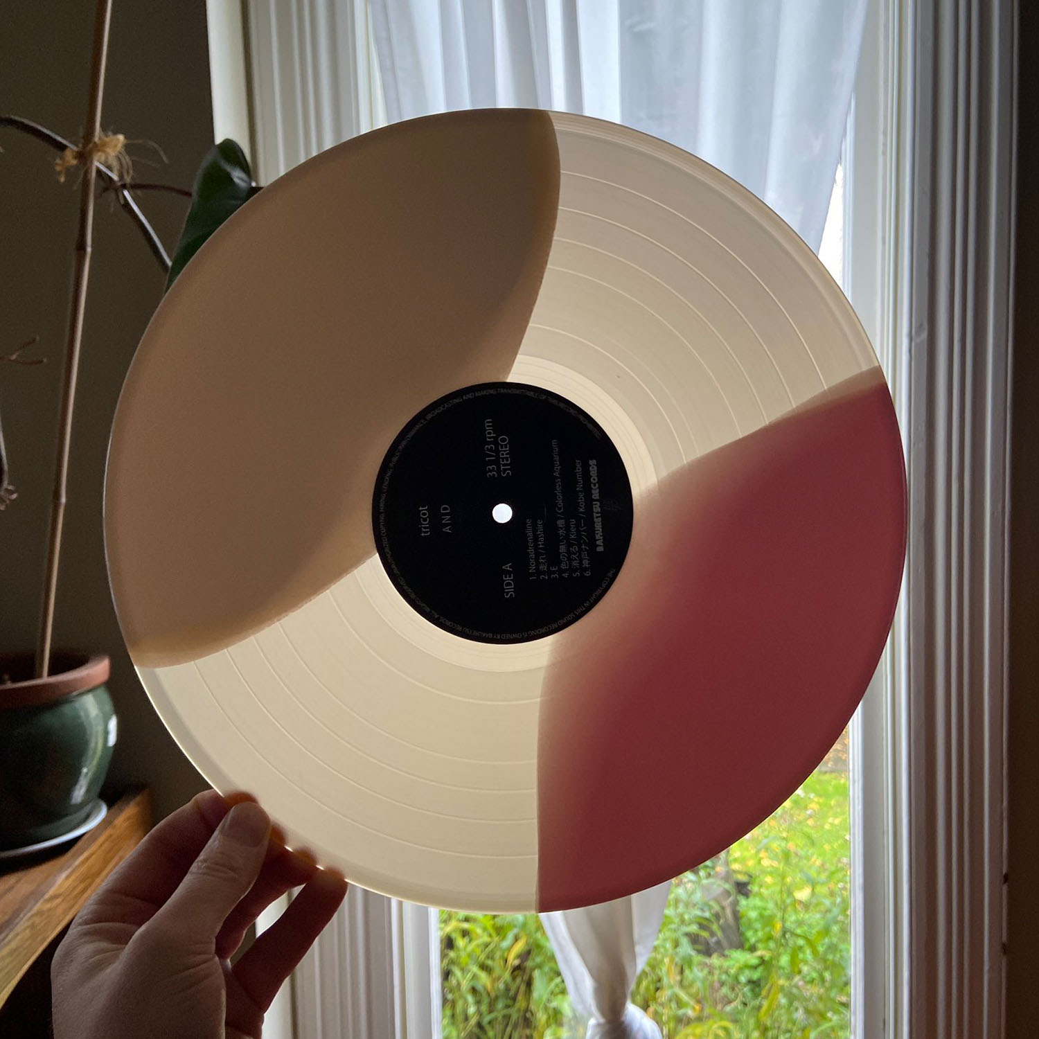 Product shots of tricot - A N D