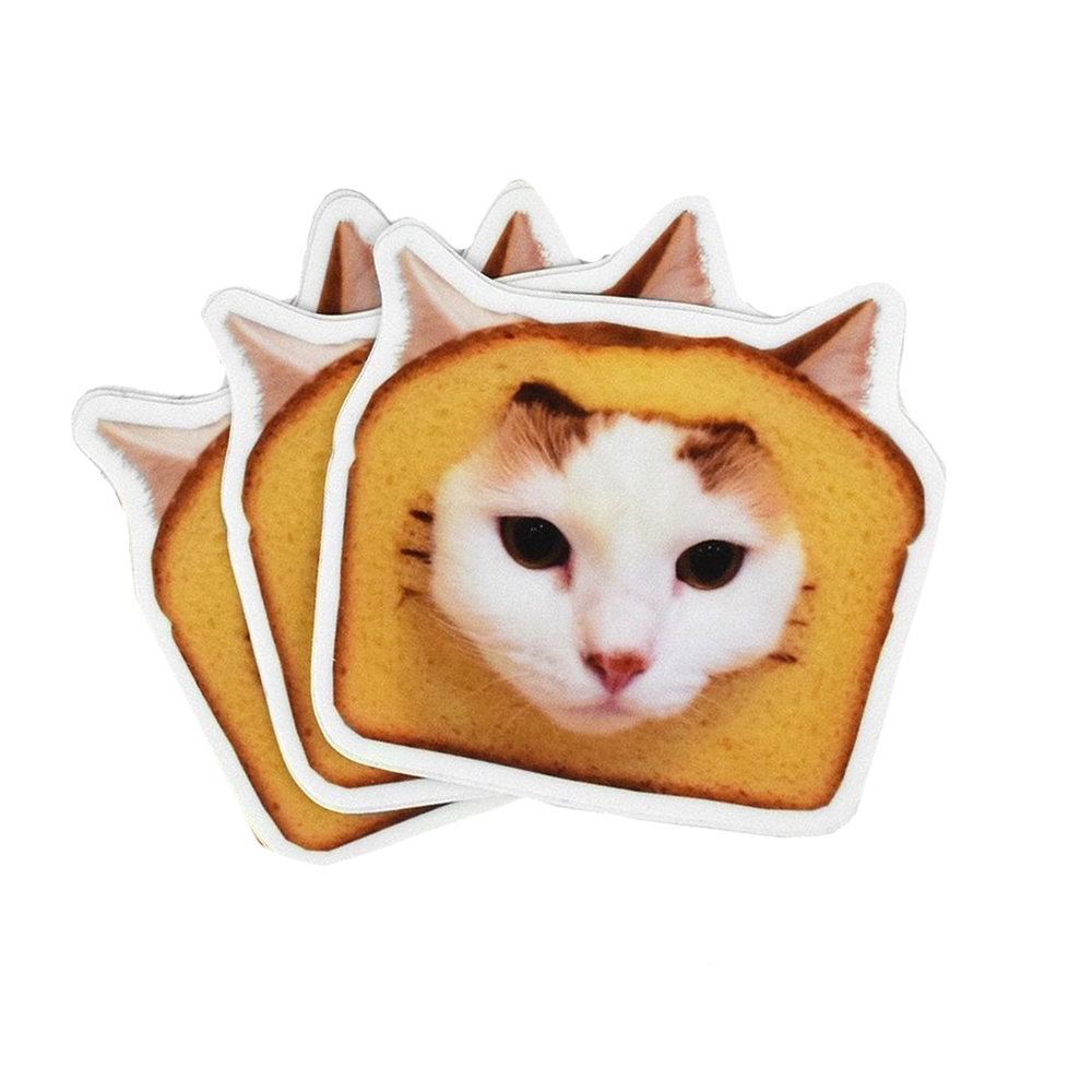 bread on a cat
