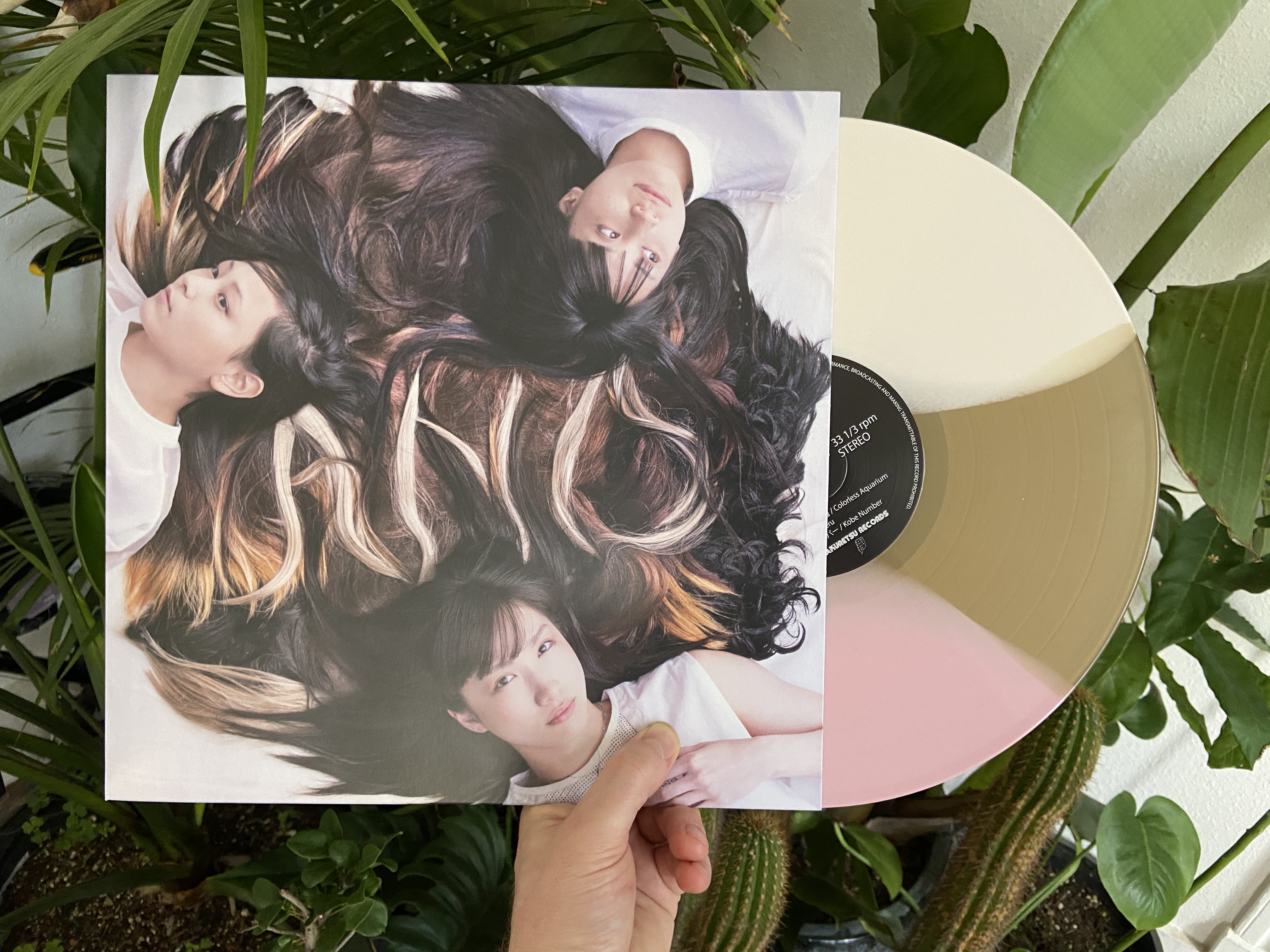 Product shots of tricot - A N D