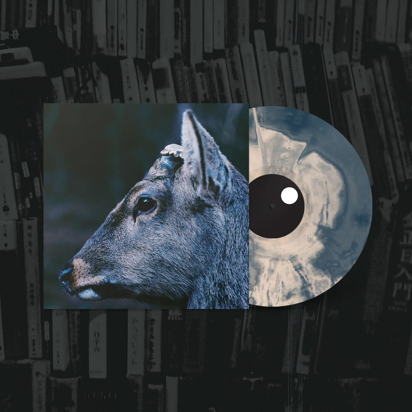 Topshelf Records UK toe the book about my idle plot on a vague anxiety