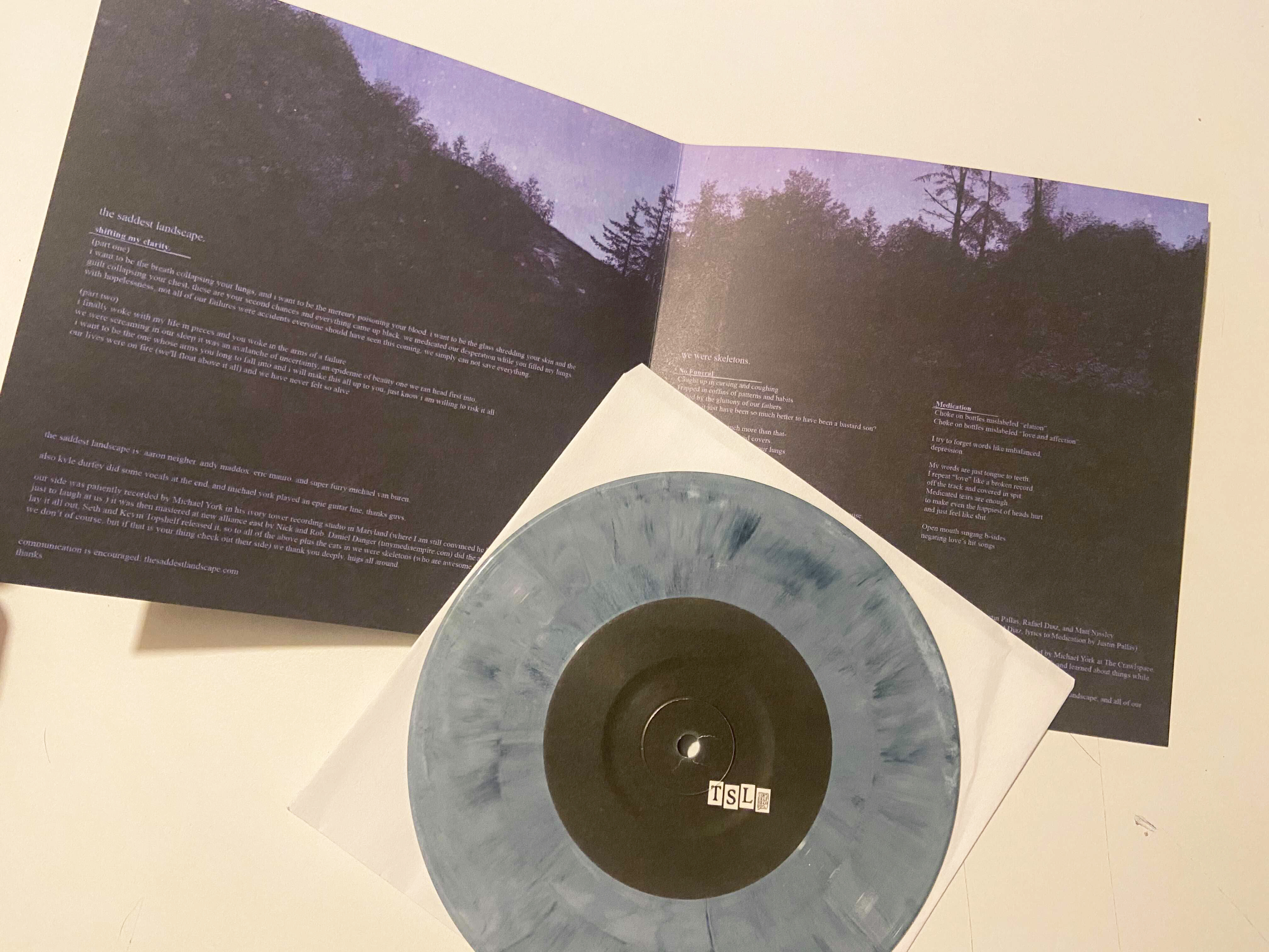Product shots of The Saddest Landscape / We Were Skeletons - Split EP
